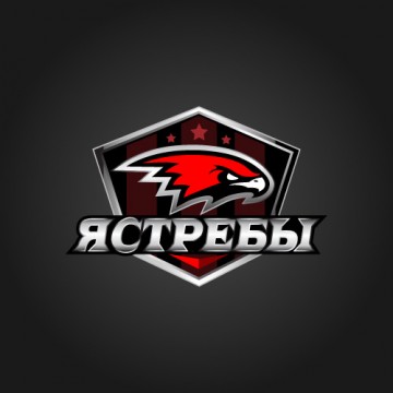 Хоккейный клуб "Ястребы"