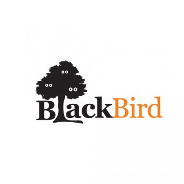 Рекламное агентство "Black Bird"