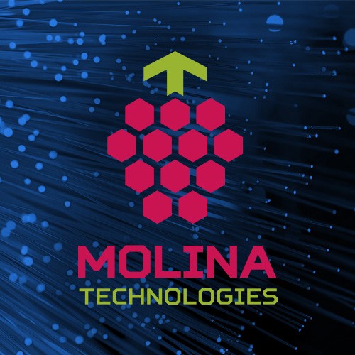 IT компания "Molina technologies"
